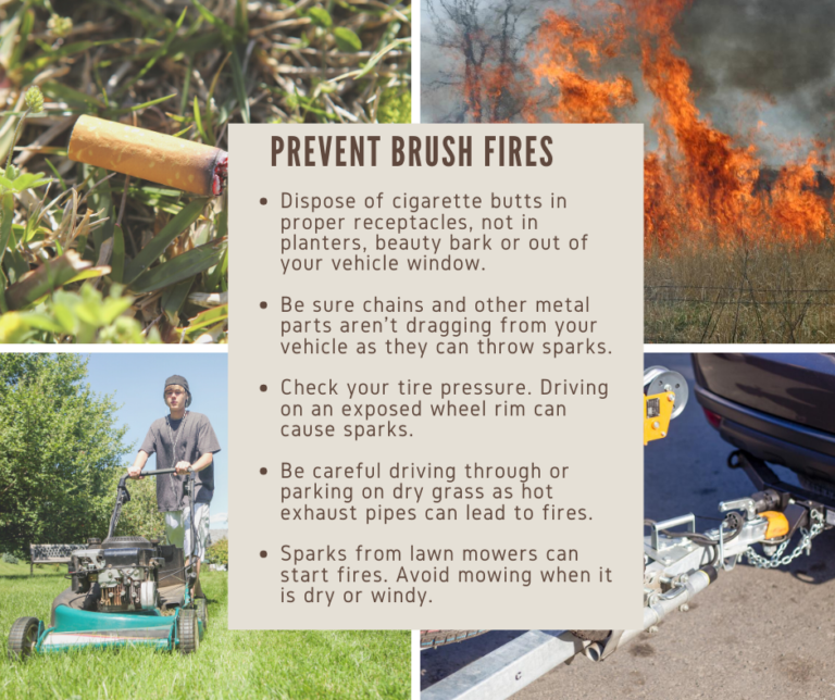 King County Fire Chiefs urge public to take steps to prevent brush ...